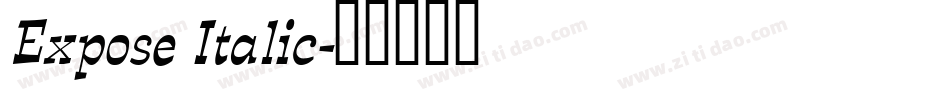 Expose Italic字体转换
